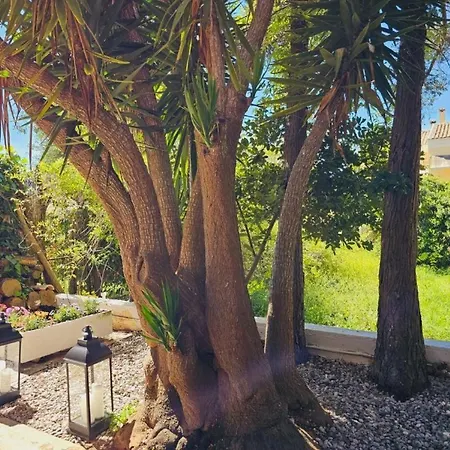 Corfu Dream Kanoni (Corfu)